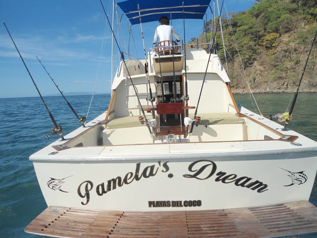 Pamela's Dream